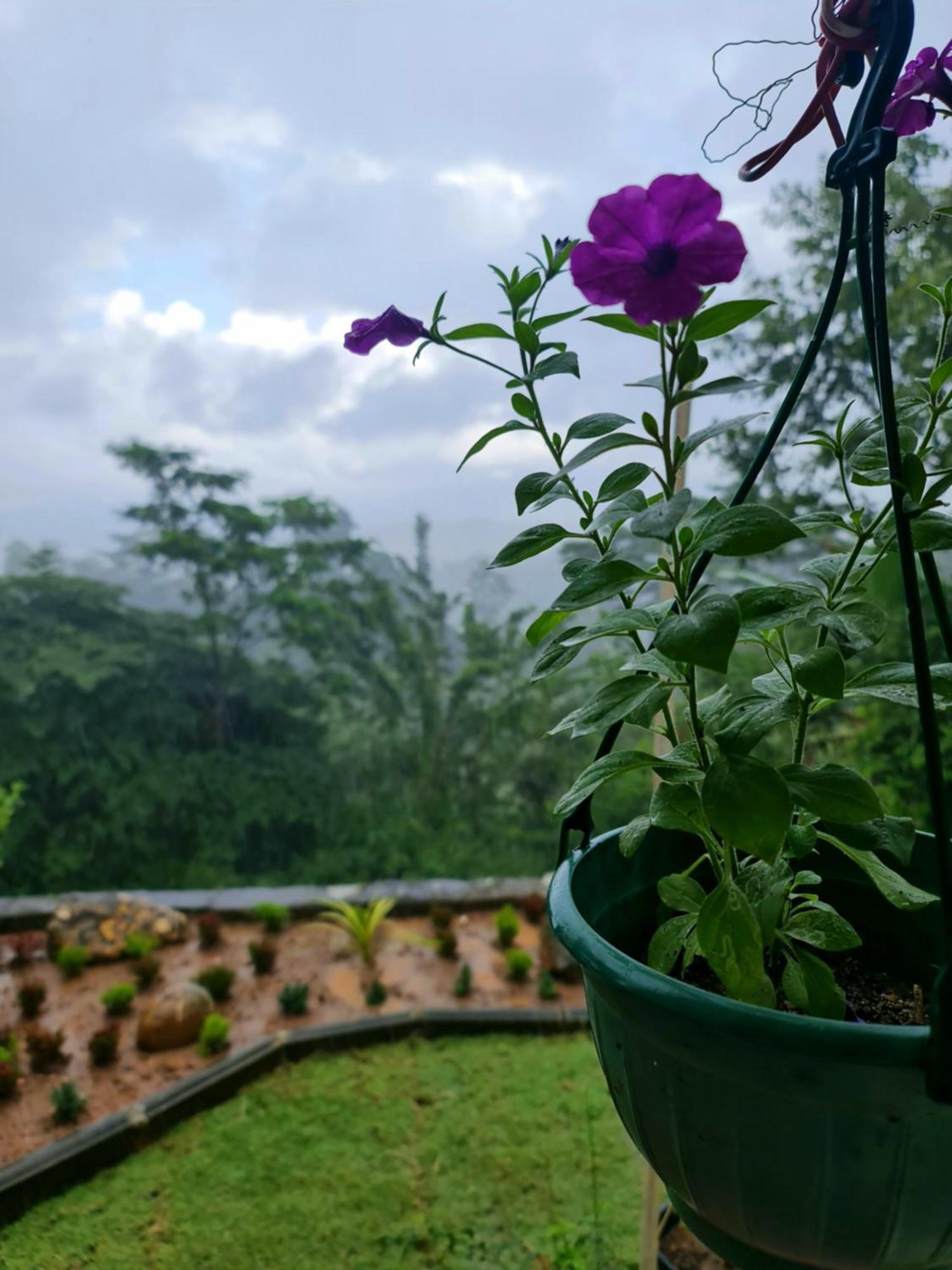 Hello Kandy Homestay 外观 照片