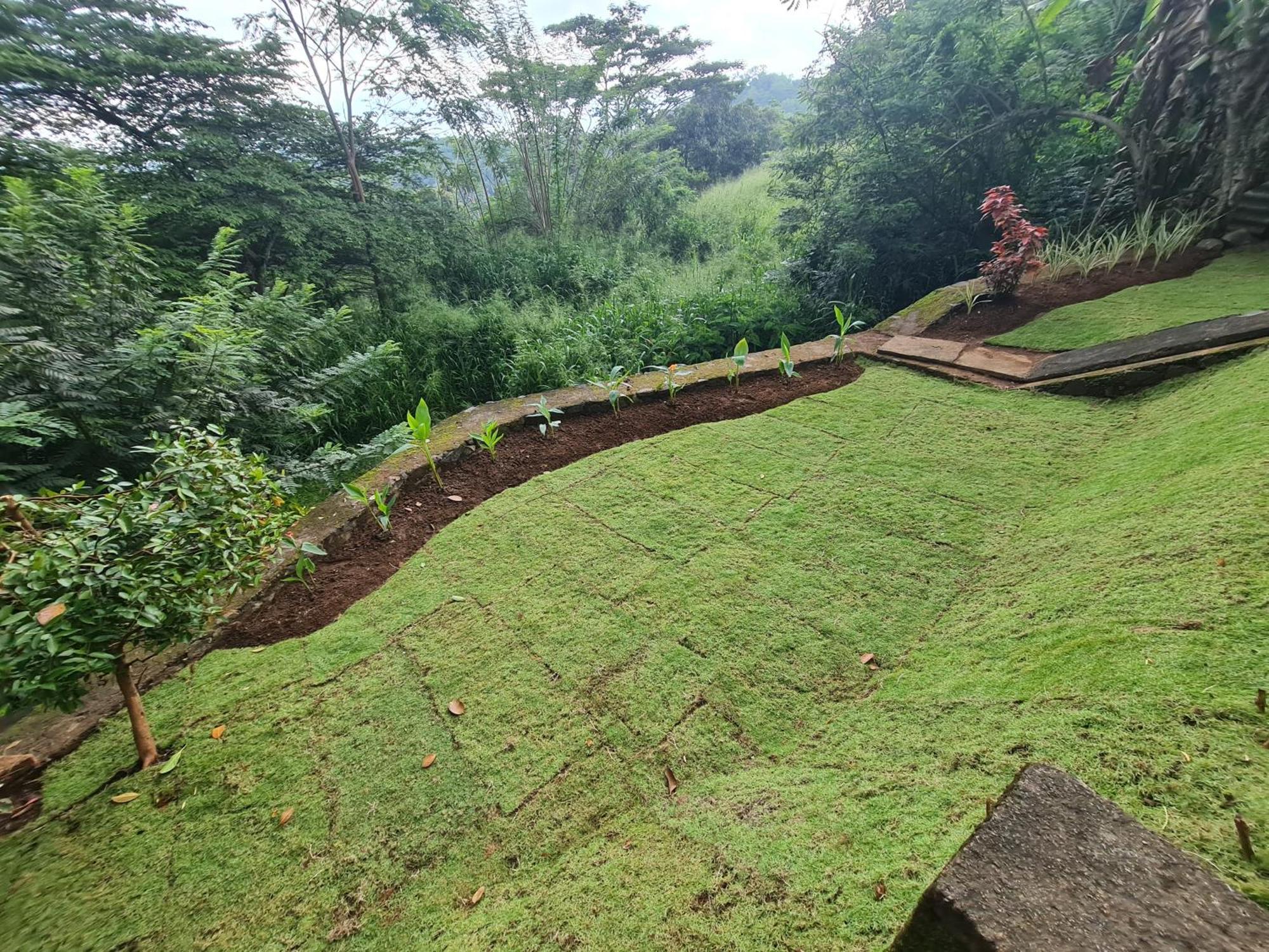 Hello Kandy Homestay 外观 照片